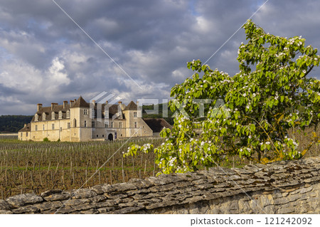 Typical vineyards near Clos de Vougeot, Cote de Nuits, Burgundy, France Typical vineyards near Clos de Vougeot, Cote de Nuits, Burgundy, France 121242092