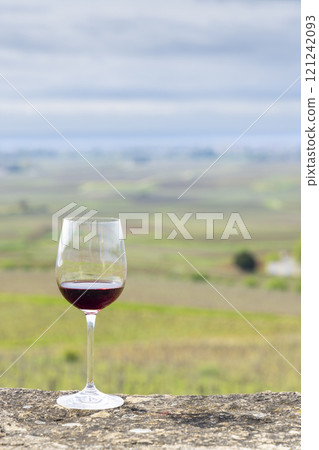 Glass of pinot noir red wine in early spring vineyards near Aloxe-Corton, Burgundy, France 121242093