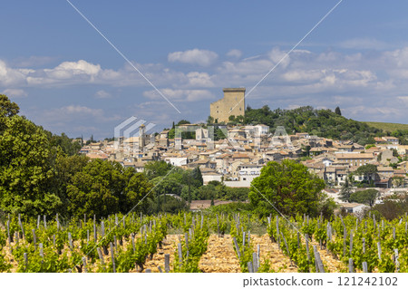 Typical vineyard with stones near Chateauneuf-du-Pape, Cotes du Rhone, France 121242102