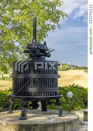 Typical vineyard near Castello di Razzano and Alfiano Natta, Barolo wine region, province of Cuneo, region of Piedmont, Italy 121242111