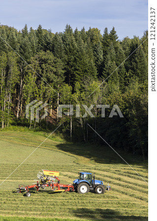 Tractor turning hay in spring meadow, Jura, France 121242137