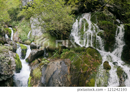 Small waterfall in Northern Italy Small waterfall in Northern Italy 121242193