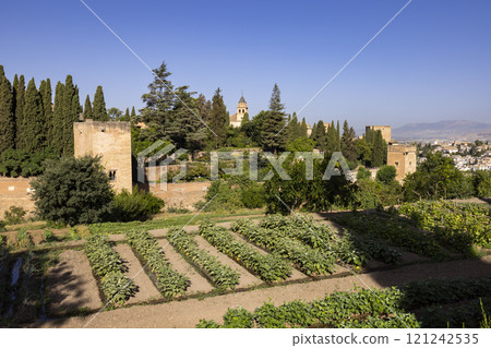 Alhambra, Generalife and Albayzin, UNESCO site, Granada, Andalusia, Spain 121242535