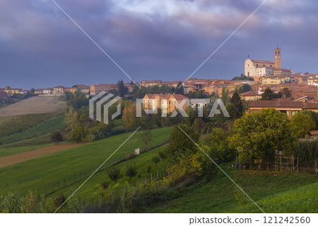 Typical vineyard near Grana Monferrato, Piedmont, Italy Typical vineyard near Grana Monferrato, Piedmont, Italy 121242560