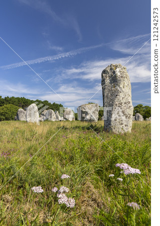 Standing stones (or menhirs) in Carnac, Morbihan, Brittany, France Standing stones (or menhirs) in Carnac, Morbihan, Brittany, France 121242573