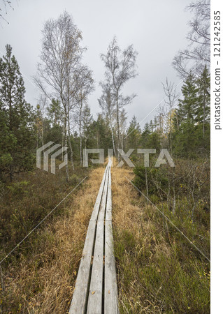 Red Mud (Cervene blato) National Nature Reserve near Suchdol nad Luznici  in Trebonsko region, Southern Bohemia, Czech Republic 121242585