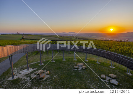 Trail above the vineyards lookout point, Kobyli vrch, Kobyli, Southern Moravia, Czech Republic 121242641
