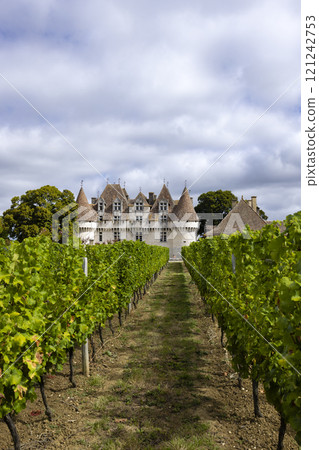 Monbazillac castle (Chateau de Monbazillac) with vineyard, Dordogne department, Aquitaine, France 121242753