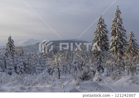 Winter landscape with Snezka, Giant Mountains (Krkonose), Northern Bohemia, Czech Republic 121242807