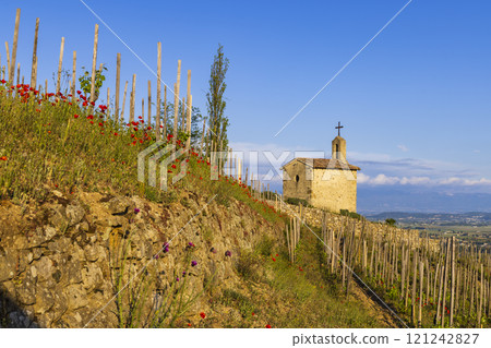 Grand cru vineyard and Chapel of Saint Christopher, Tain l'Hermitage, Rhone-Alpes, France 121242827