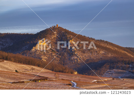 Catle ruins Chateau de Saint-Ulrich, Chateau du Girsberg and Chateau du Haut-Ribeaupierre near Ribeauville, Alsace, France 121243023