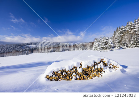 Typical winter landscape with logs wood near Modrava, Nation park Sumava, Czech Republic 121243028