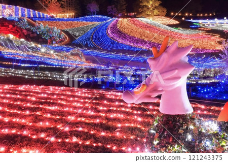 [Kagawa Prefecture] Winter National Sanuki Mannou Park (Illumination) 121243375