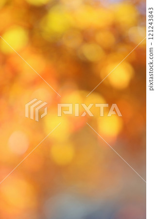 Blurred maple leaves [Out of focus] [Yellow leaves] 121243843