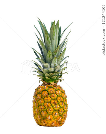 Pineapple fruit on sand against turquoise caribbean sea water 121244103