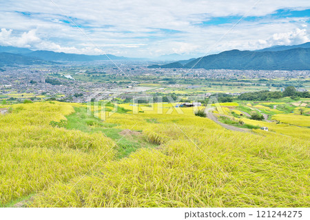 [Obasute Rice Terraces] Yawata, Chikuma City, Nagano Prefecture 121244275