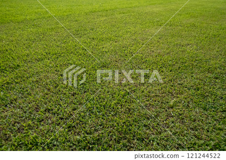 Lawn management Lawn management 121244522