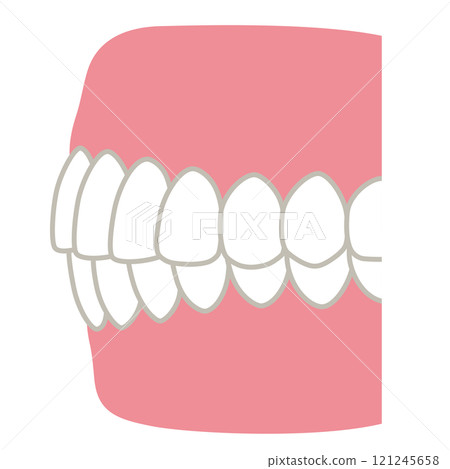 Beautiful teeth alignment, dentistry, orthodontics 121245658