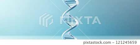 A sleek, modern representation of a DNA double helix, genetics and biological science. 121245659