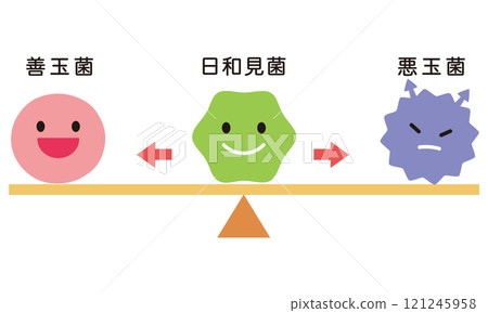 腸道細菌、腸道菌叢的平衡 腸道細菌、腸道菌叢的平衡 121245958