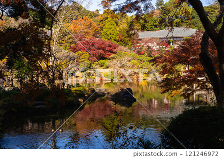 Colorful autumn leaves that reflect the season at Naritasan Park Colorful autumn leaves that reflect the season at Naritasan Park 121246972