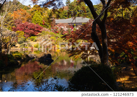 成田山公園 - 色彩繽紛的紅葉,讓您感受到季節的變化 成田山公園 - 色彩繽紛的紅葉,讓您感受到季節的變化 121246973