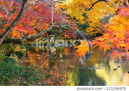 成田山公園 - 色彩繽紛的紅葉，讓您感受到季節的變化 121246978