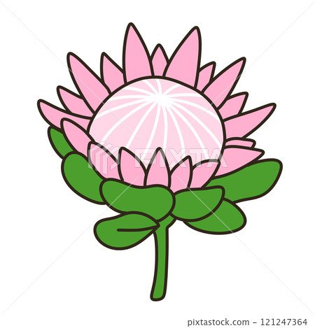 普羅蒂亞 121247364