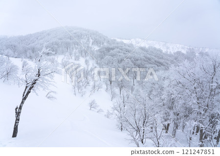 在冬季和冬季的山脈 121247851