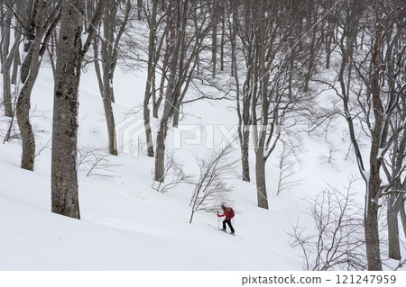 Climbing Mountain Skiing 121247959