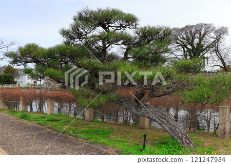 Famous Japanese castle: Hikone Castle (Shiga) Famous Japanese castle: Hikone Castle (Shiga) 121247984