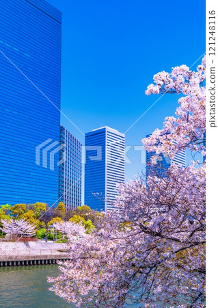 大阪商業園和櫻花 121248116