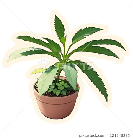 flowers in a pot flowers in a pot 121248285