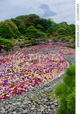 日本花園和色彩繽紛的大麗花池塘的風景 121248434