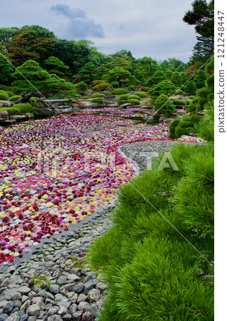Scenery of a Japanese garden and pond with colorful dahlias 121248447