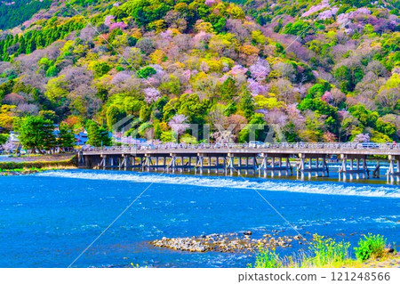 渡月橋和嵐山櫻花 渡月橋和嵐山櫻花 121248566