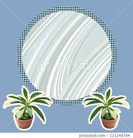 plant in pot plant in pot 121248784