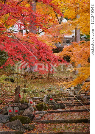 Autumn leaves covering the Jizo statue at Shohoji Temple in Kyoto 6 121249548