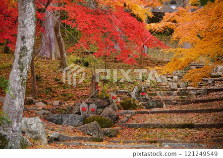 Autumn leaves covering the Jizo statue at Shohoji Temple in Kyoto 5 Autumn leaves covering the Jizo statue at Shohoji Temple in Kyoto 5 121249549