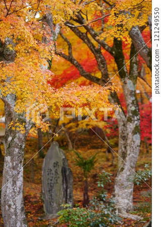 Late autumn approach to Shohoji Temple in Kyoto with a stone monument 3 Late autumn approach to Shohoji Temple in Kyoto with a stone monument 3 121249550