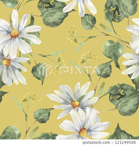 Chamomile white flowers and linden branches watercolor seamless pattern on yellow. Field wild blossom and forest plants background, botanical ornament for organic food, medicine, cosmetics packing 121249588
