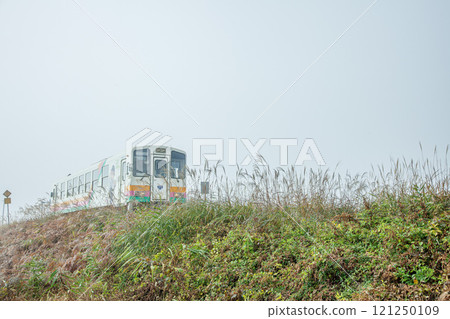 Local train in the fog 121250109