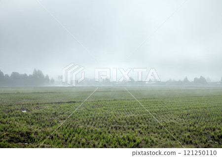 Fog morning Fog morning 121250110
