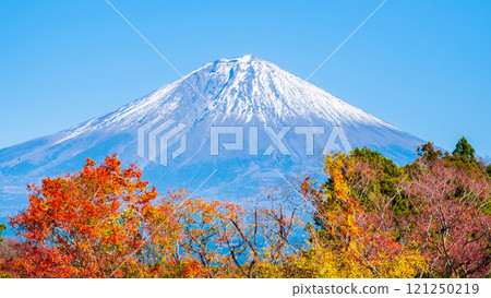  富士山和富士山 121250219