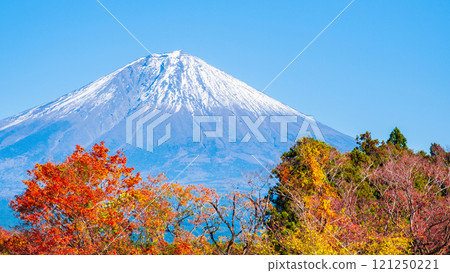 Fuji and Mt. Fuji Fuji and Mt. Fuji 121250221