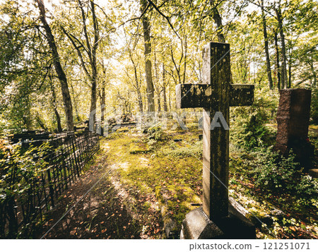 A peaceful cemetery pathway lies under sunlit trees, highlighting natures beauty and the essence of remembrance 121251071
