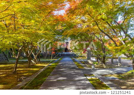 Autumn in Kyoto: Nishijin Koshoji Temple, main hall surrounded by autumn leaves 121251241