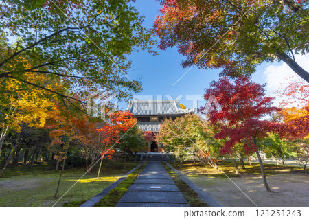 Autumn in Kyoto: Nishijin Koshoji Temple, main hall surrounded by autumn leaves Autumn in Kyoto: Nishijin Koshoji Temple, main hall surrounded by autumn leaves 121251243