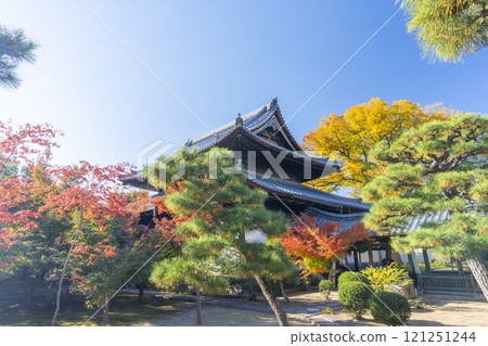 秋天的京都，西陣興勝寺，正殿被秋葉覆蓋 121251244