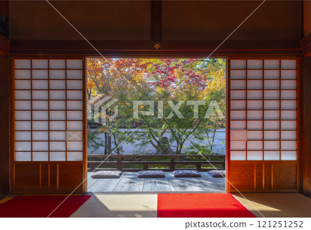 Autumn in Kyoto: Nishijin Koshoji Temple: Beautiful autumn foliage in the garden in front of the hojo Autumn in Kyoto: Nishijin Koshoji Temple: Beautiful autumn foliage in the garden in front of the hojo 121251252